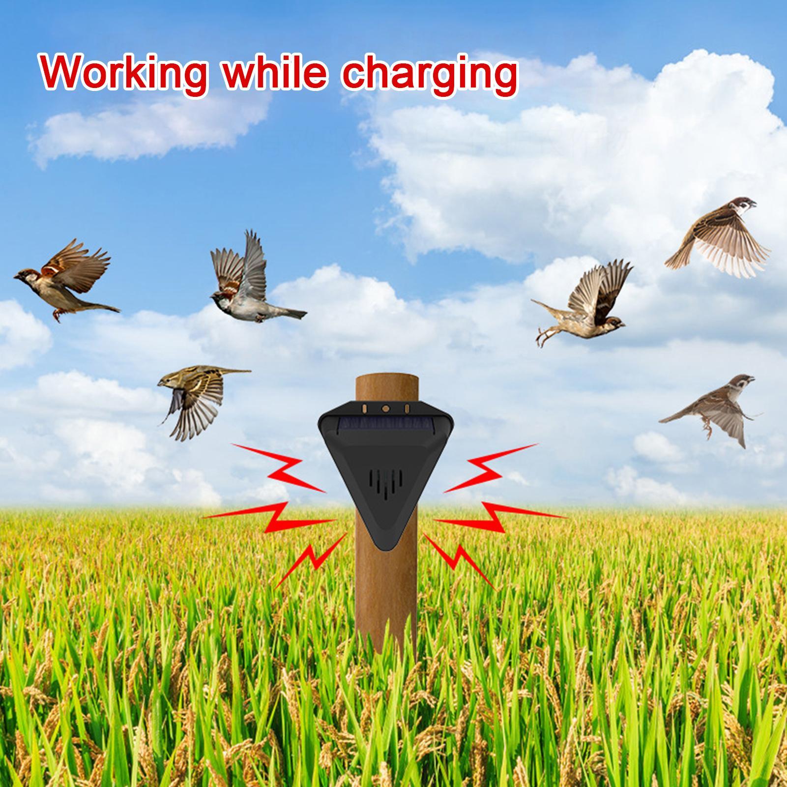 ソーラータイマー鳥よけ装置 13種類の音 防水 鳥よけ 屋外 - Outdoor Power Hours のレビューと価格